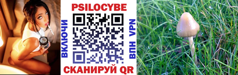 Купить где  Южно-Сухокумск  Псилоцибиновые грибы Psilocybine cubensis 