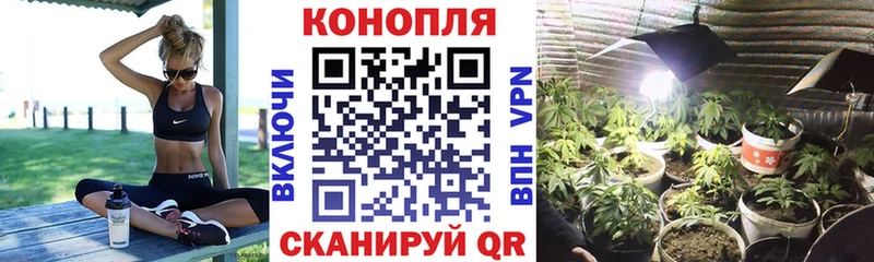 Конопля планчик Купить где Южно-Сухокумск